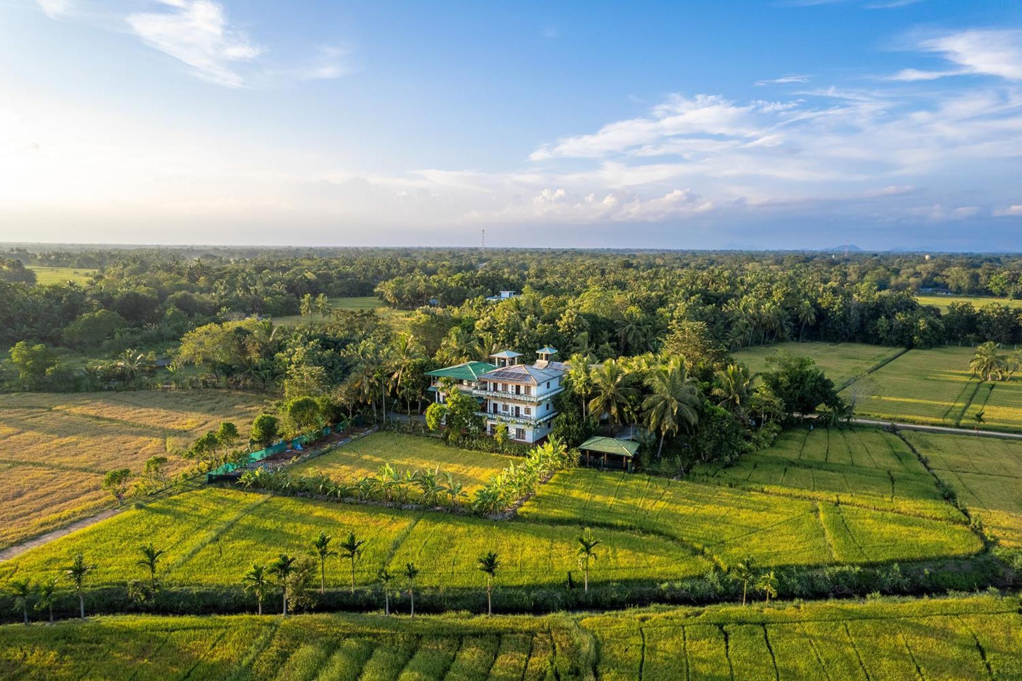 Mailagama Cinnamon Residence Kataragama Ngoại thất bức ảnh